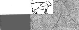 H&uuml;ndchen